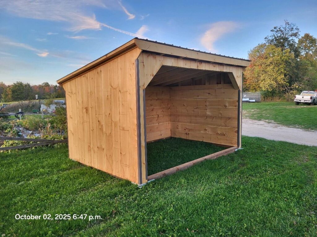 10ft x 20ft Horse shelter wooden siding with a slanted roof and an opening on one side, 3 sides are enclosed